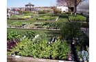 Property photo 10 - Complete Greenhouse Inventory Liquidation, 2 Dates, October 23 & 26 Plus 14 Acres
